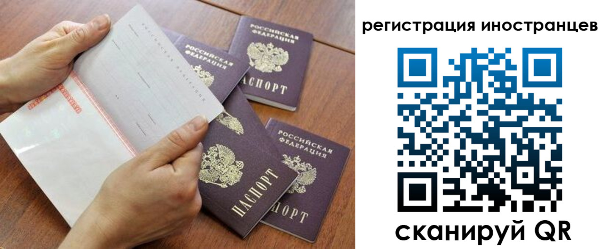 прописка поиск в Черняховске
